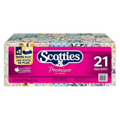 scotties-21.jpg